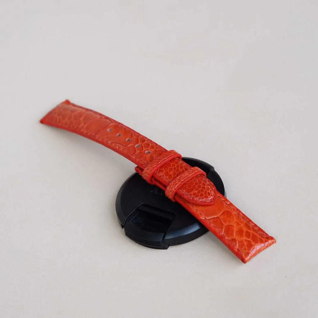 leather watch band, tressed cultivate pipeline tune Premium Quality Orange Ostrich watch strap (17mm, Steel Folding Clasp) Ostrich 