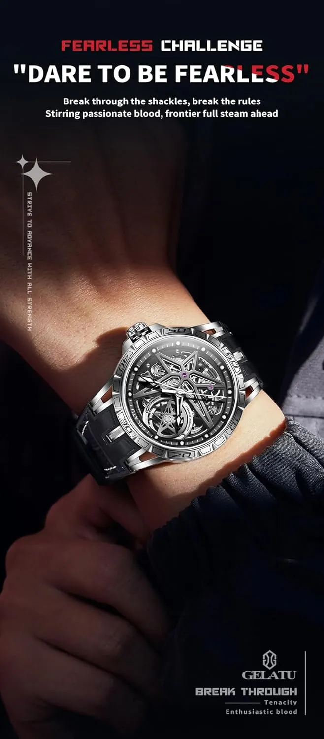 Watches Silver Skeleton Binary Star Galaxy Self Winding barn insect slick habit transmit dazzlingly Mechanical Original Wrist Watch for Men OLEVS Mens Automatic 
